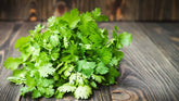 The Formula to Growing Coriander
