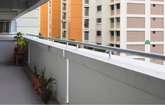 Transforming your HDB Corridor into a Garden Paradise