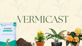 Vermicast Fertiliser: Giving your Garden a Boost Naturally