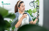 How to Grow your own Natural Pest Control In Singapore: Building a Healthy Garden Eco System
