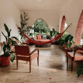 3 Tips for Tending Indoor Plants