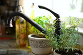 How to Grow Your Own Herb Garden!