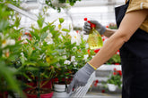 What’s Better? Synthetic or Organic Pesticides