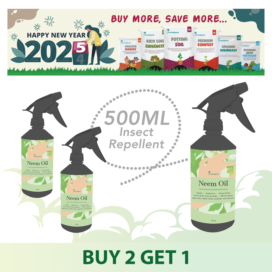 1.1 2025 Promotions