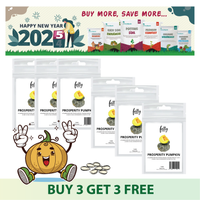 1.1 2025 Promotions