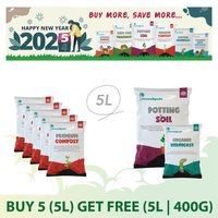 1.1 2025 Promotions