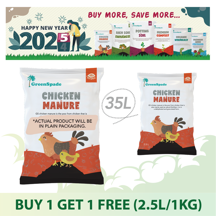 5.5 2025 Promotions