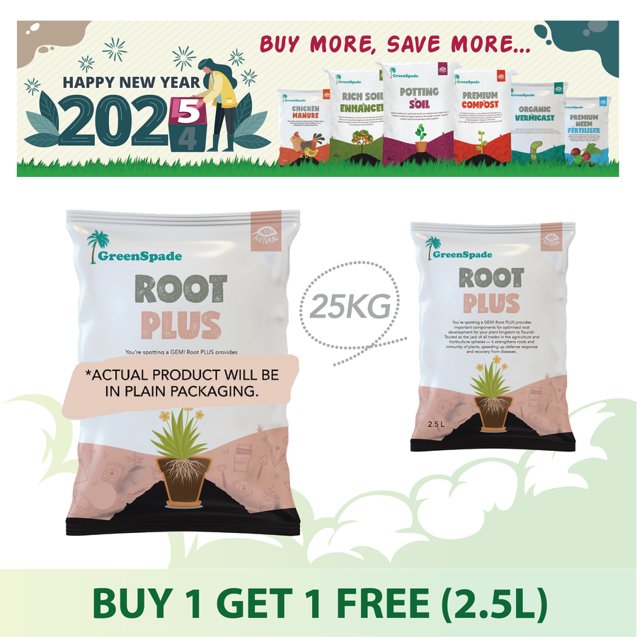 5.5 2025 Promotions
