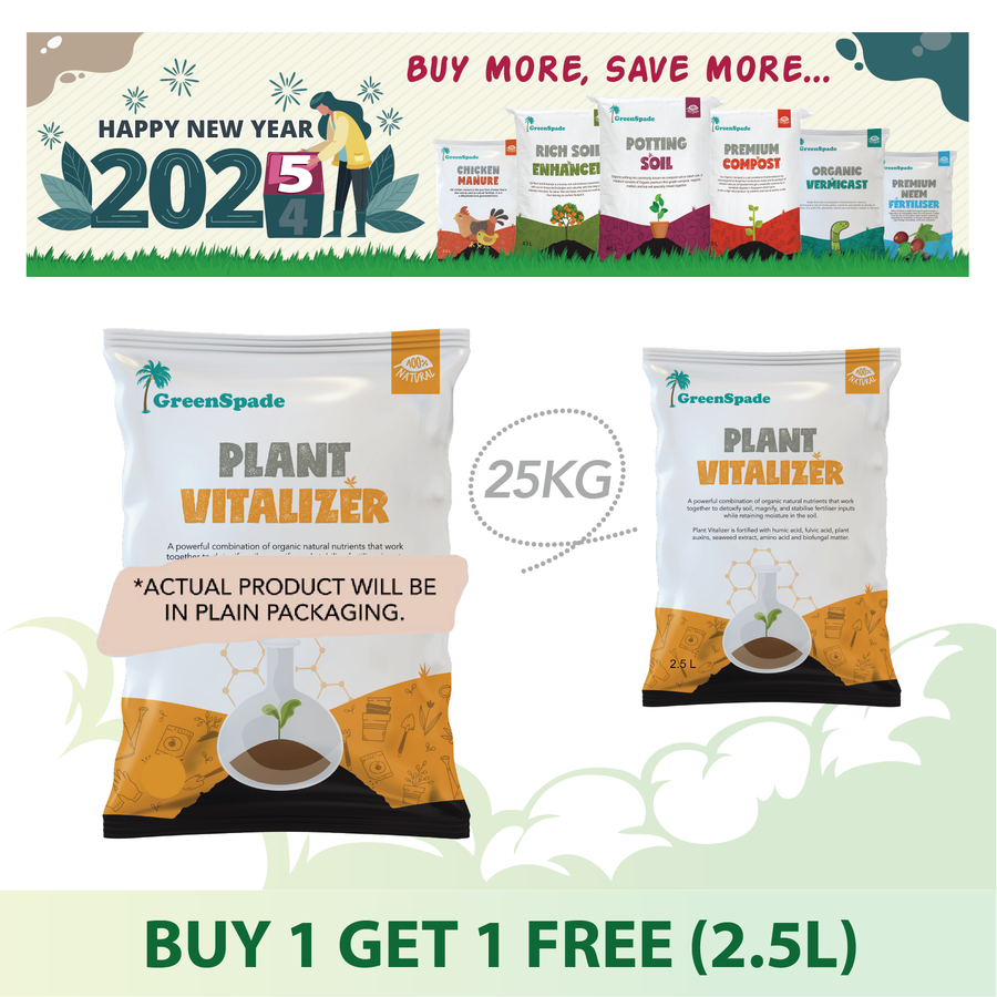 5.5 2025 Promotions