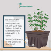 BABA BI SQ POT WHITE