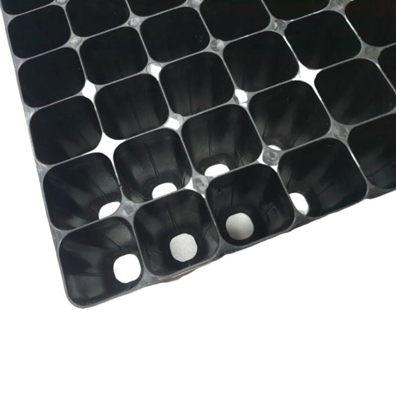 Seedling Tray