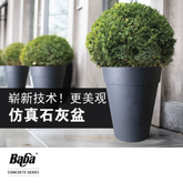 BABA New Listing-19