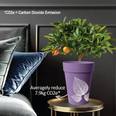 BI-NB-150 FOLIA POT-11