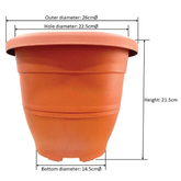 EG-260-Cotta