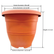 EG-260-Cotta