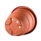 BI-EG-512