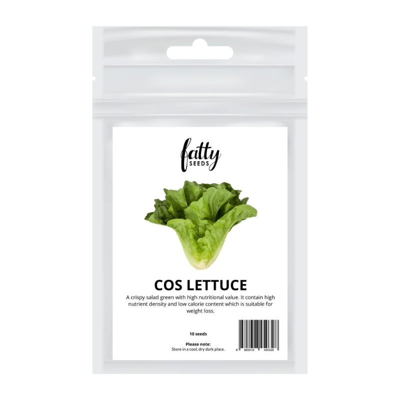 Fatty Seeds Cos Lettuce