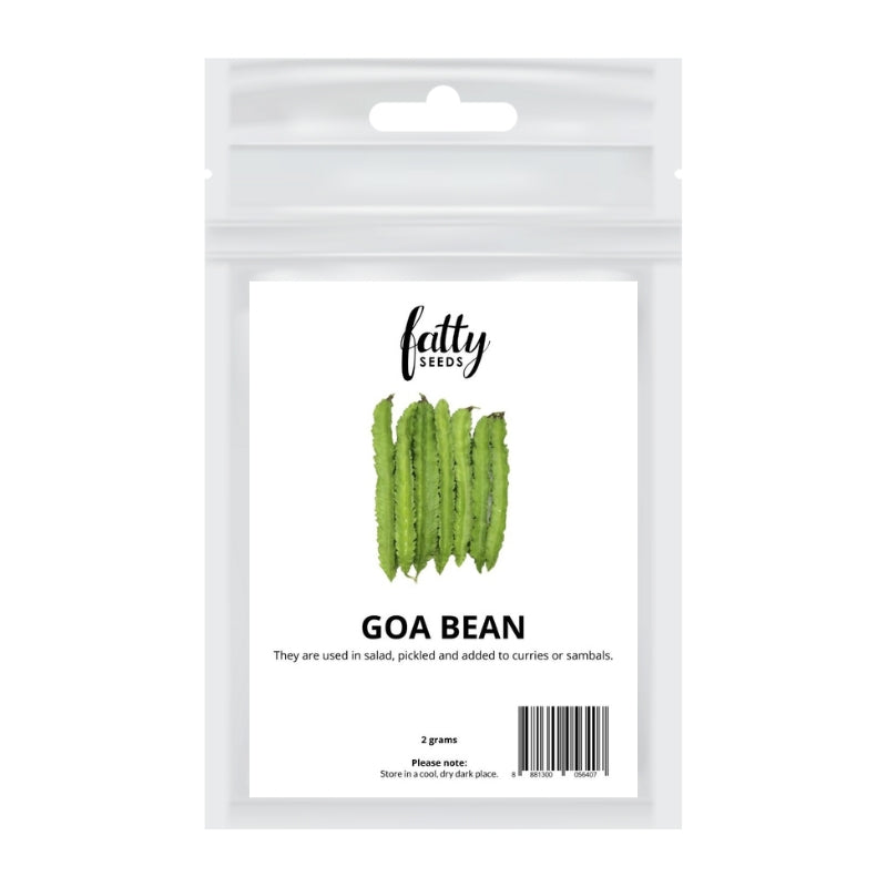 Fatty Seeds Goa Bean