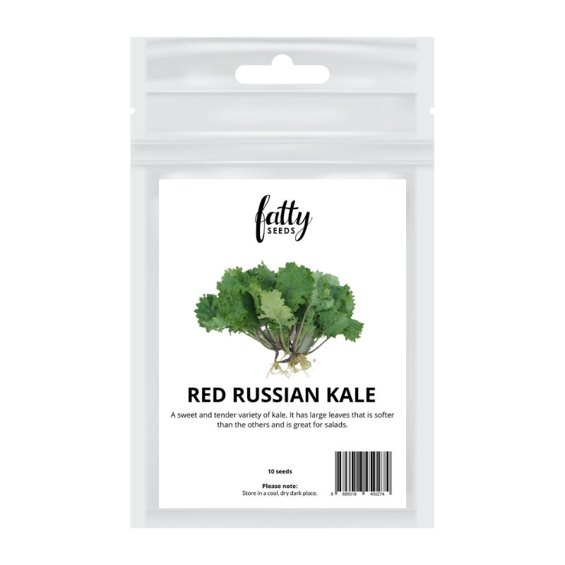 Fatty Seeds Red Russian Kale