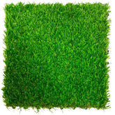 Grass Deck (1)