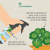 Green Spade – Bugminator 2
