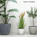 Half Oval Planter-18