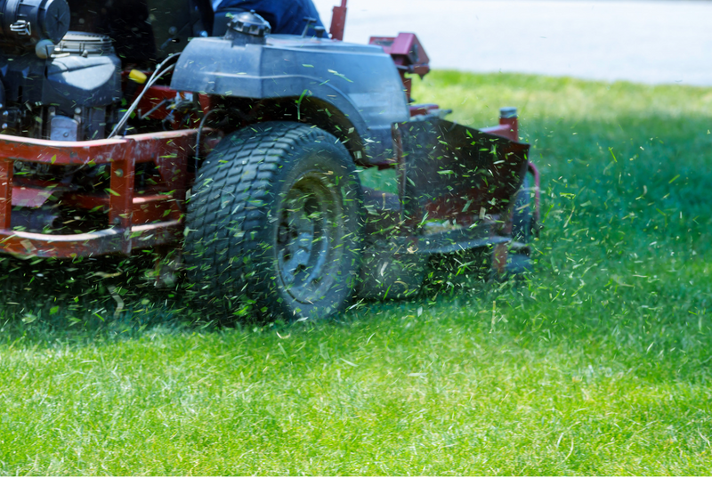 Grass & Lawn Cutting