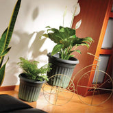 Listing-61