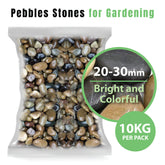 Pebbles Stone – Bright and Colorful