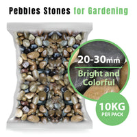 Pebbles Stone – Bright and Colorful