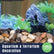Pebbles Stone – Bright and Colorful-39