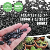 Pebbles Stone – Glossy Black-19