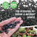 Pebbles Stone – Glossy Black-19