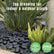 Pebbles Stone – Natural Black-07