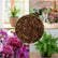 Planting Substrate Pine Bark_Artboard 8 copy 34
