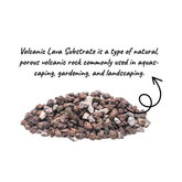Planting Substrate Volcanic Laval_Artboard 8 copy 25
