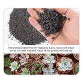 Planting Substrate Volcanic Laval_Artboard 8 copy 27