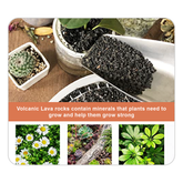 Planting Substrate Volcanic Laval_Artboard 8 copy 28