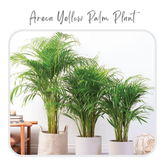Plants Template-22