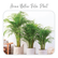 Plants Template-22