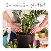 Plants Template-27