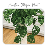 Plants Template-34