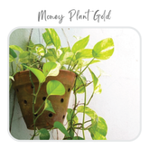Plants Template-36