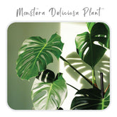Plants Template-45
