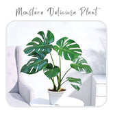 Plants Template-46