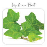 Plants Template-57