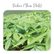 Plants Template-66