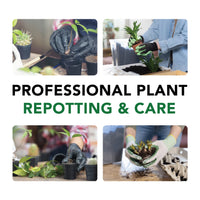 Repotting