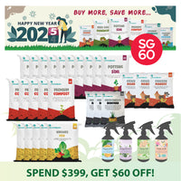 SG60 Deals