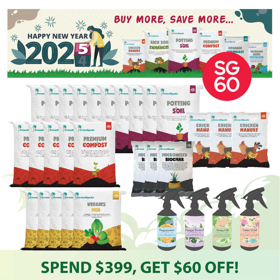 SG60 Deals